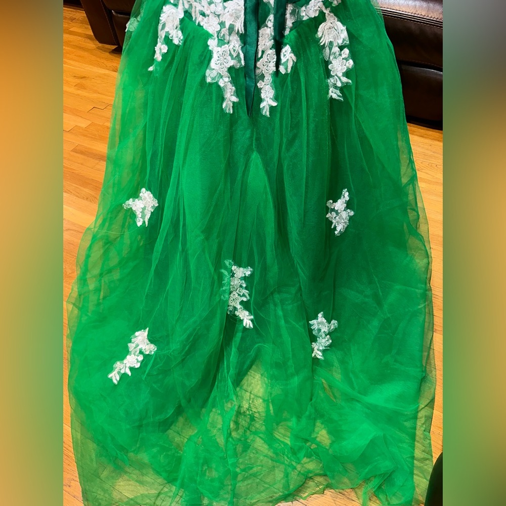 Big Green Gown ( If Interested And You Want More … - image 2